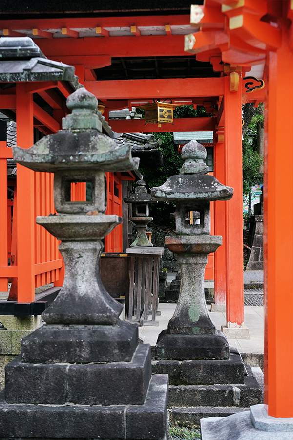 訪日観光ツアーの企画・運営
